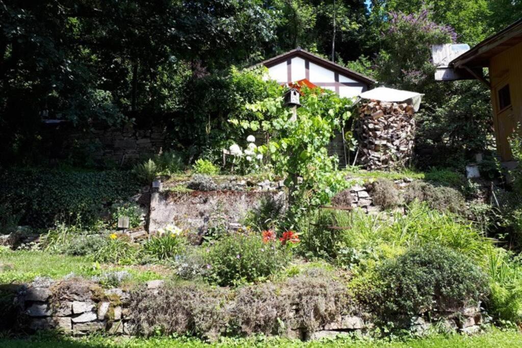 Eine Gemuetliche Ferienwohnung Mit Garten Bad Karlshafen Kültér fotó