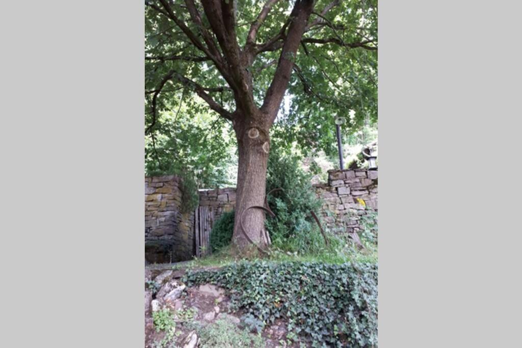 Eine Gemuetliche Ferienwohnung Mit Garten Bad Karlshafen Kültér fotó